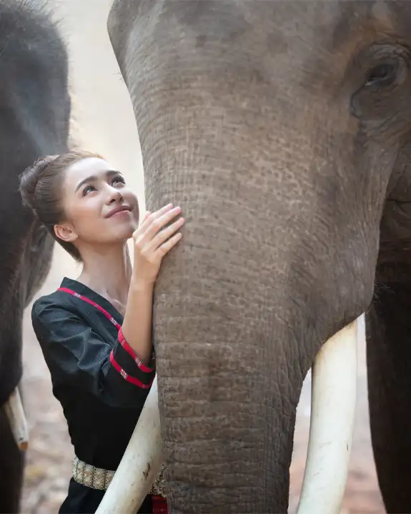 Why Elephants